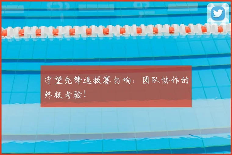 守望先锋选拔赛打响,团队协作的终极考验!