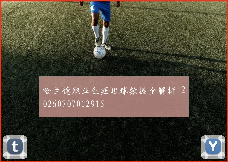 哈兰德职业生涯进球数据全解析_20260707012915